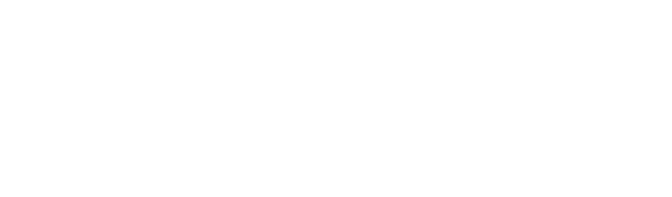 Avantik Scale Logo